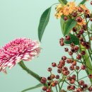 신대륙부동산중개 이미지