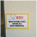 수원 애견동반카페 보고싶당개 강아지없어도 입장가능한곳