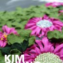 자연을 노래하다 이미지