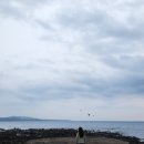 스테이반하나 | 강아지랑 제주도 여행 - 반려견 동반 펜션 스테이반하나 2박 후기