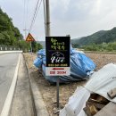 왕소나무막국수 이미지