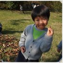 우포의 숲속 이미지