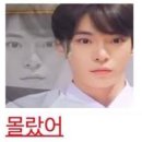 도어스