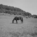 소노벨 타워 A.B 제주 이미지