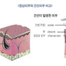 맑은경희한의원 이미지