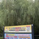 천도공원 | 천안 강아지 산책하기 좋은 곳 삼거리공원 추천 코스 소개