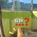 산토끼노래동산 관람시설+동물원 이미지