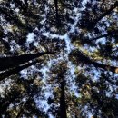 봄이오는소리공인중개사사무소 이미지