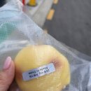 사랑방슈퍼 | 잔잔슈퍼 크런치 말랑이 세계로 송리단길 데이트 코스 추천