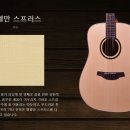기타선율악기사