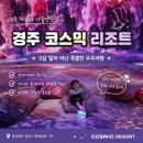 아트 온 스크린-고집쟁이 딸 | 경주 아이와 가볼만한곳｜5살 딸과 다녀온 코스믹 리조트 솔직후기