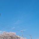 시민테니스클럽