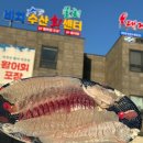 비치수산회센터 이미지