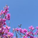 물만골역 이미지