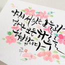 마음담은캘리그라피 이미지