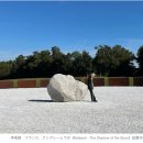 신미술관 이미지