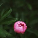 한솔아이원스(주) 이미지