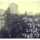 비야비야 이미지