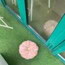 단골이됐으면좋겠당 이미지