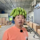 산청농산물 - 산청군 동의보감로4번길 1 | 산청농산물