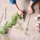 엠에이스튜디오 이미지