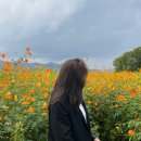 환경시설관리공사 달성사업소 이미지