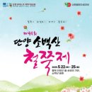 소백산빌리지 | 단양 봄 여행 추천! 소백산 철쭉제에서 만나는 환상적인 철쭉 풍경