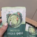 스마일시너지 | 속이 편안해지는 스마일포유 유기농양배추즙 한달 음용 후기!(속쓰림, 역류성 식도염 추천)
