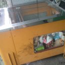 뽑기대륙 이미지