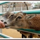 번영농장 이미지