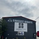 크로스핏 지라프 | 수원 크로스핏 지라프(CROSSFIT GIRAFFE)에서 무료체험하기