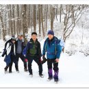 한일맛집 이미지