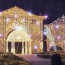 [경기도이천] ✨ 별빛정원우주 방문 후기 | 낮보다 밤이 더 아름다운 이곳, 추천해요! 🌌
