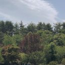 하늬목장 이미지