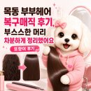 [목동] 부부헤어 복구매직 후기, 부스스한 머리 차분하게 정리했어요