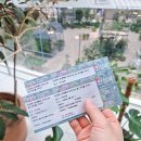여심저격 아침콘서트 서정시대 | [전시 후기] 더현대 모네전 : 인상파 모네에서 미국으로 빛 바다를 건너다