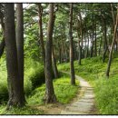 장신리유원지 이미지