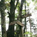 사방염소농장 이미지