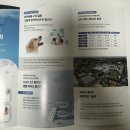 바이오덴탈 | [반려동물제품]강아지, 고양이입냄새 구취 개선/교리츠 덴탈바이오 구강케어 100정 후기