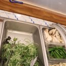 돈탑(분평점) 본점 | 청주 분평동 맛집, 청주 소고기 무한리필 청주 분평점 돈탑 제대로 배부르게 먹어보아요