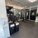 데이빗짐 이미지