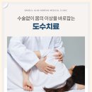 바를정 한방병원 - 의정부시 | 바를정 한방병원