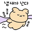 라이트앤굿