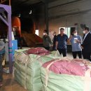 홍천사랑말 TMR 이미지