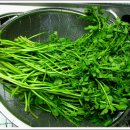 봉황농장 이미지