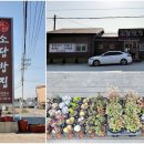 소담밥집 이미지