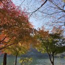 11.8~9 주말 출석부 이미지