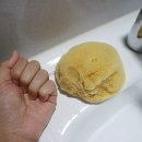 주식회사 네츄럴프로 이미지