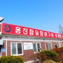 용진장어