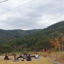 화이트 크로우 브루잉 이미지